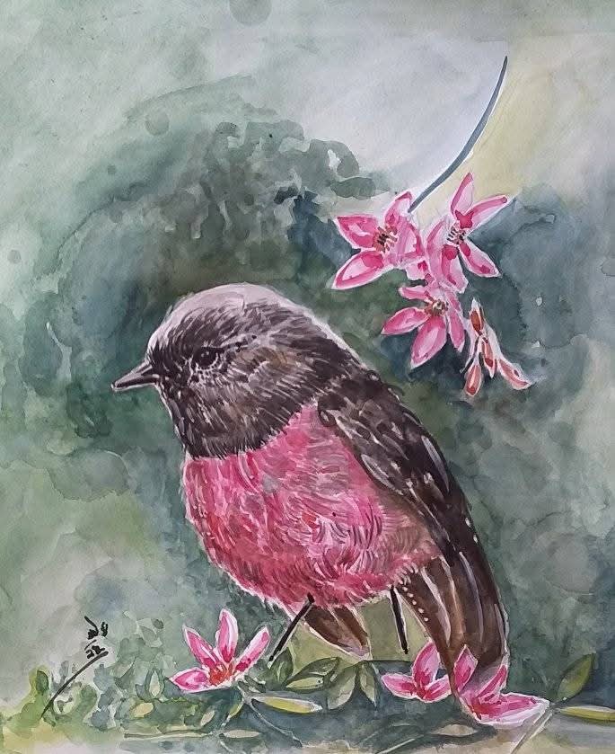 Nature 